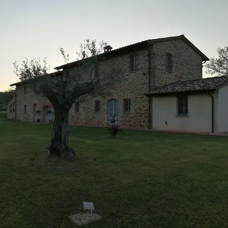 Podere San Crico Lägenhet