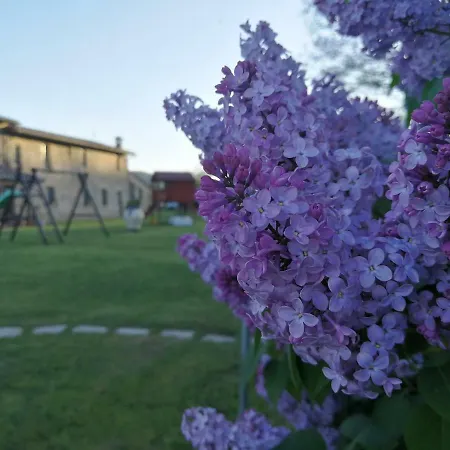 Podere San Crico Panicale